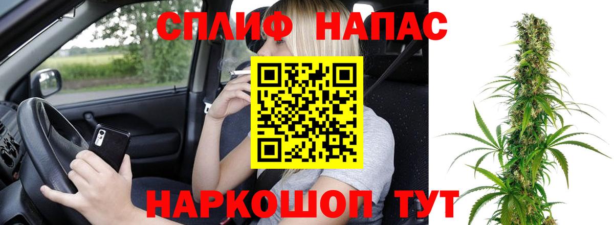 Конопля MAZAR  Конопля марихуана  Каннабис семена  Вход с VPN  Лобня 